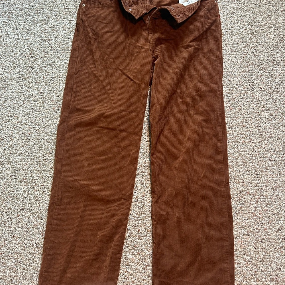 BDG Baggy Brown Corduroy Pants